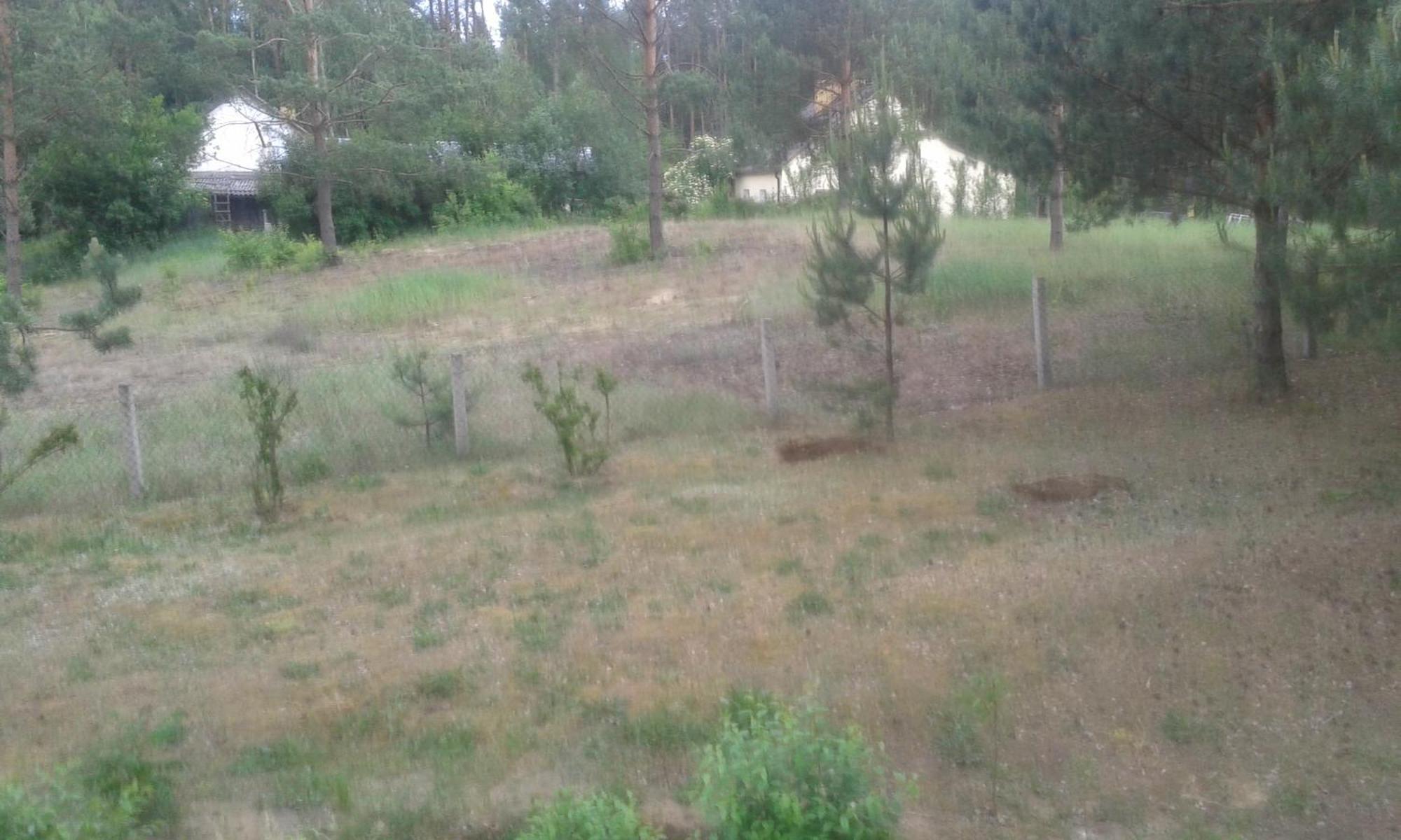Domek Lesna Przystan Strekowizna Luaran gambar